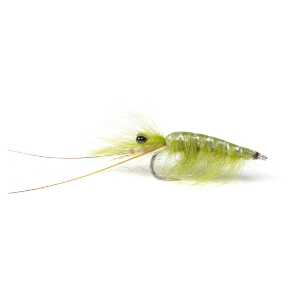 Olive CDC Shrimp #6 i gruppen Fiskedrag / Flugor / Streamers hos Sportfiskeprylar.se (101583GL)