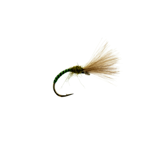 Shuttlecock Quill Emerger Olive # 15 i gruppen Fiskedrag / Flugor / Torrflugor hos Sportfiskeprylar.se (F30-1007-15)