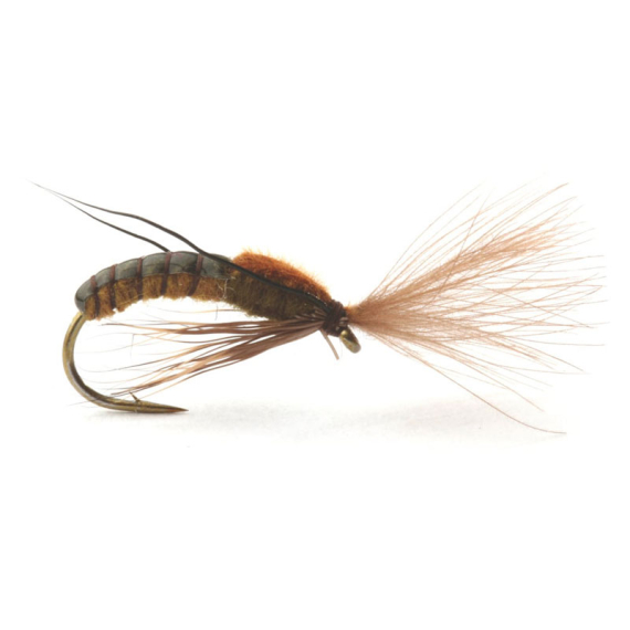 Super Emerging Caddis Brown Olive i gruppen Fiskedrag / Flugor / Torrflugor hos Sportfiskeprylar.se (GL46166r)