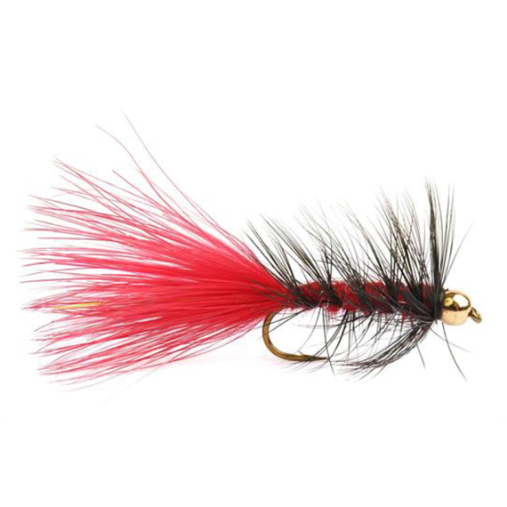 Wolly Bugger Gold Head Red Black size 8 i gruppen Fiskedrag / Flugor / Streamers hos Sportfiskeprylar.se (HF1231-8)