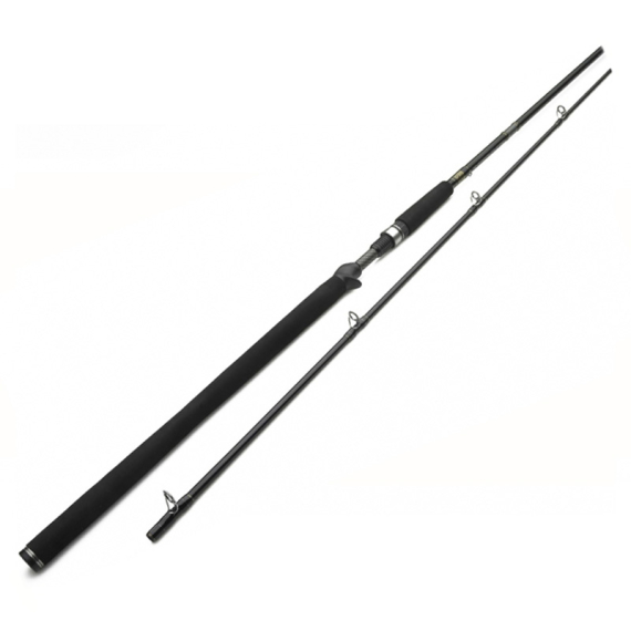 Westin W3 Powercast-T 8\'3\'\'/251cm XXH 40-130g 2pcs Casting i gruppen Fiskespön / Spinnspön hos Sportfiskeprylar.se (W303-0832-XXH)