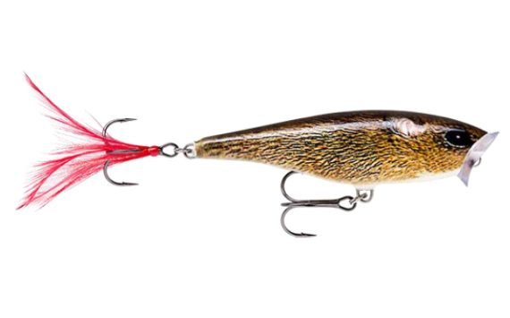 Rapala Skitter Pop 7cm FML