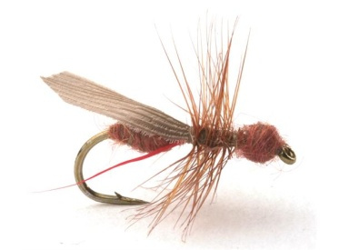 Guideline Flying Ant / Myra Cinnamon # 12