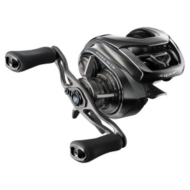 Daiwa 24 Steez SV TW 100