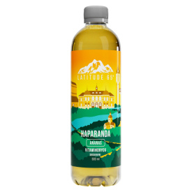 Latitude 65 Vitamindryck 500ml - Haparanda