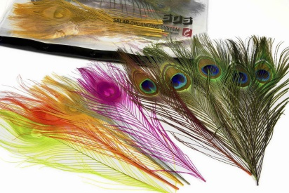 Frödin Peacock Feather Pack