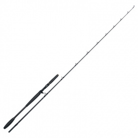 Westin W10 Monsterstick-T 7'9''/233cm 5XH 120-260g 1+1sec W10 Octagon Tube