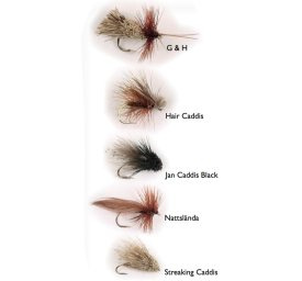 Dry Fly Sedges 5-pack