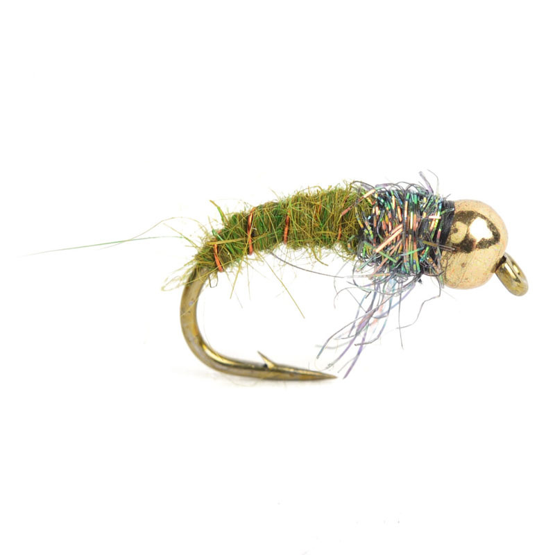 Caddis larva # 12